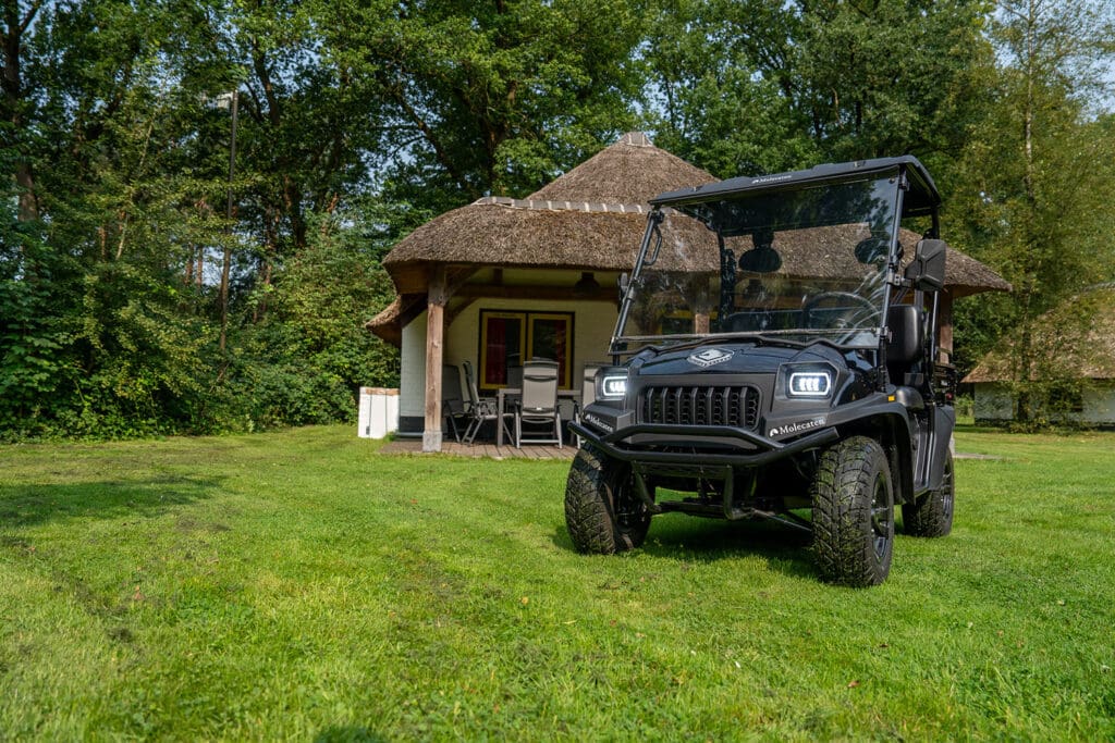 electric golf cart